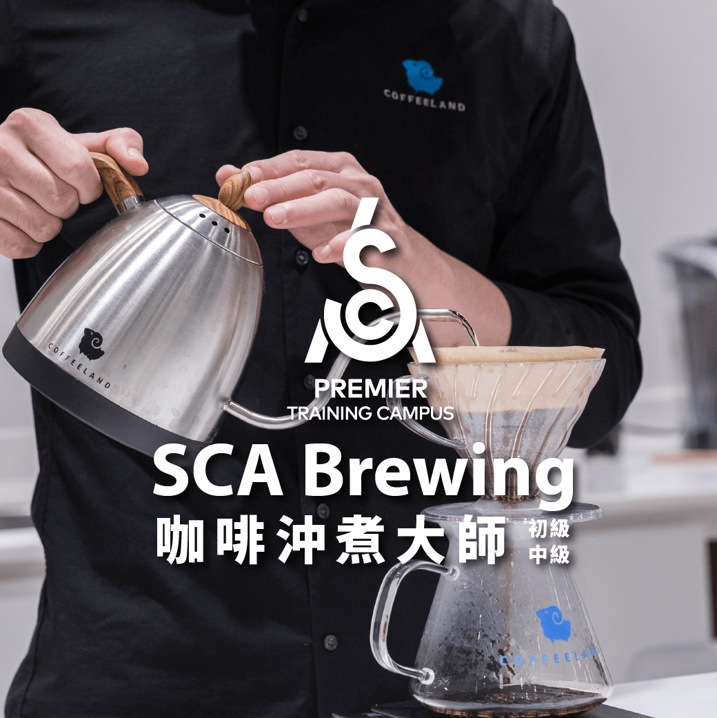 SCA CSP Brewing沖煮大師-初中級